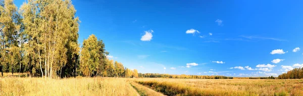 Pulzující Obrázek Venkovské Silnici Modrá Obloha Panorama — Stock fotografie