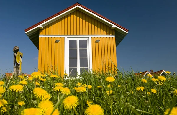 Alegre Casa Prado Primavera — Foto de Stock