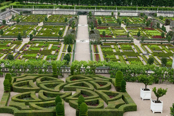 Kuchyňská Zahrada Chateau Villandry Loire Valley Francie — Stock fotografie