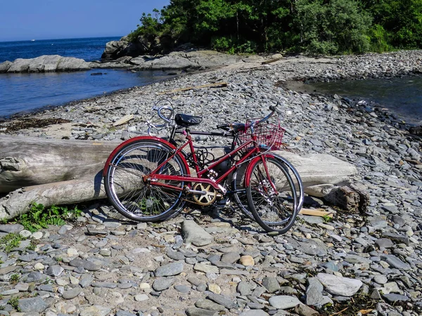 Trata Dos Bicicletas Dejadas Por Dos Adultos Jóvenes Que Han — Foto de Stock