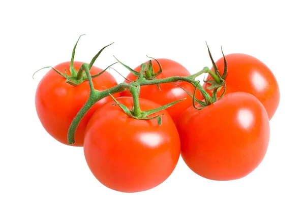 Flok Friske Tomater Isoleret Hvid Baggrund - Stock-foto
