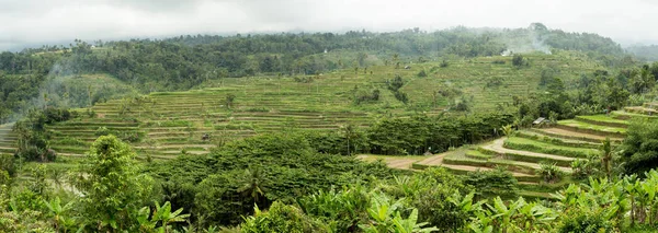 Panorama Delle Bellissime Risaie Schiera Riso Nel Centro Bali Indonesia — Foto Stock