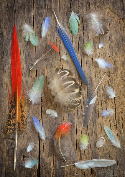 Collection of different color feathers on old wooden table — Stock Image Collection Different Color Feathers Old Wooden Table Stock Photo