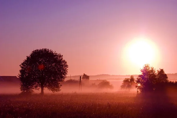 Lever Soleil Image Lever Soleil Campagne Estivale — Photo