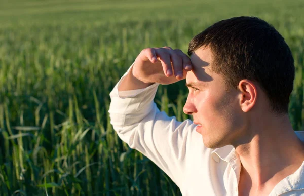 Portret Van Een Jonge Man Groen Veld — Stockfoto