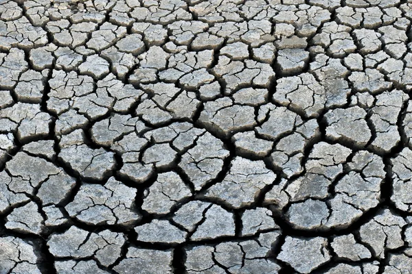 Texture Very Strongly Dried Earth Outdoor — Stock Photo, Image