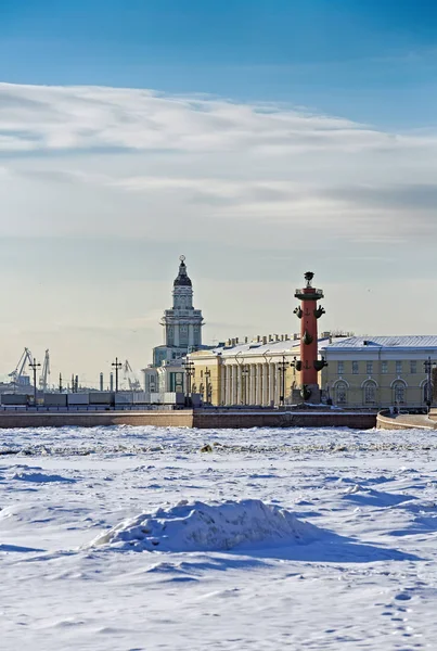 Санкт Петербург Санкт Петербург Россия Окрестности Санкт Петербурга Виды Город — стоковое фото