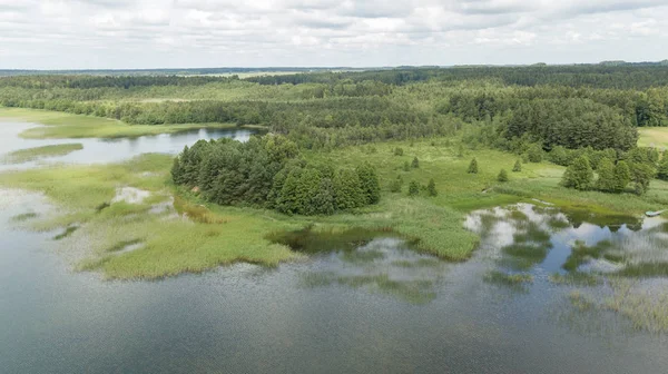 Plateliai Lake Lithuania Aerial Drone Top View — Stock Photo, Image