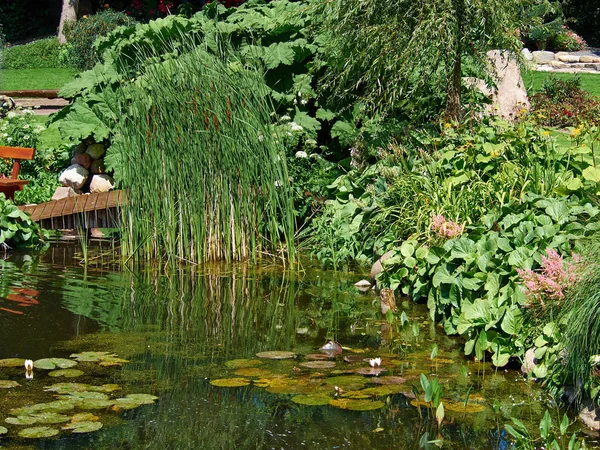 Vacker Klassisk Design Anlagda Frodiga Gröna Blommande Fiskdamm Trädgården Med — Stockfoto