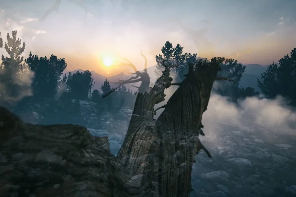 Horská Krajina Horách Sierra Nevada Kalifornie — Stock fotografie