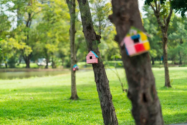 Casa Para Las Ardillas Parque —  Fotos de Stock