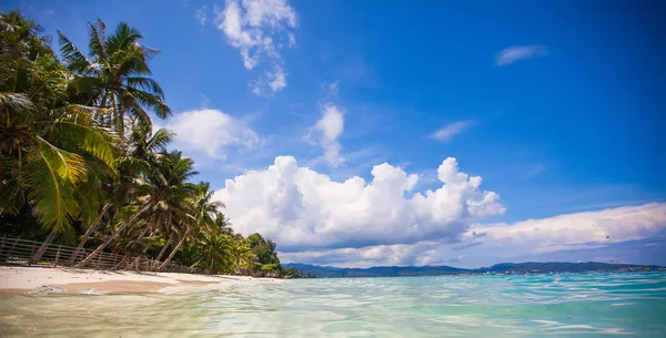 Vista Panoramica Della Spiaggia Perfetta Con Palme Verdi Sabbia Bianca — Foto Stock