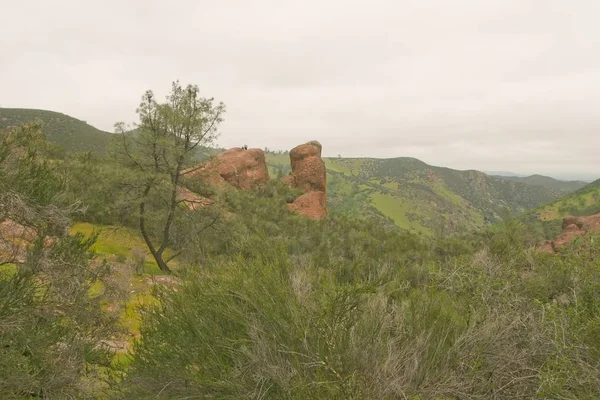 Pinnacles National Monument is a protected mountainous area located east of central California\'s Salinas Valley. The Monument\'s namesakes are the eroded leftovers of half of an extinct volcano.