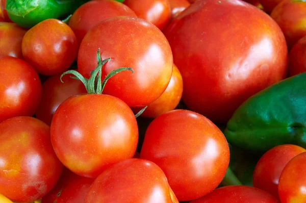 Alguns Tomates Pimentas Uma Cesta — Fotografia de Stock