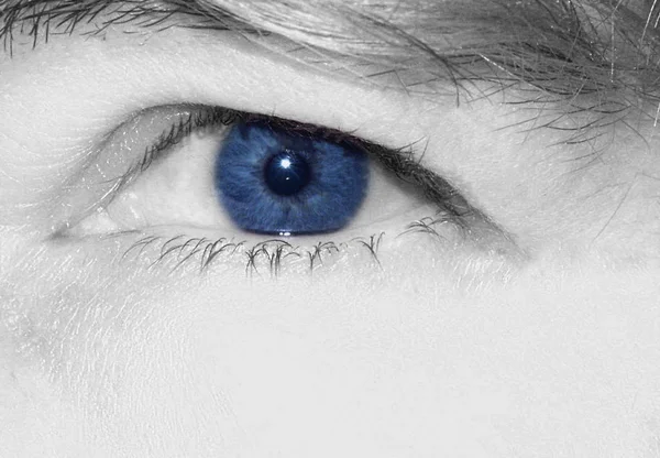 Ojo Azul Brillante Una Imagen Blanco Negro — Foto de Stock