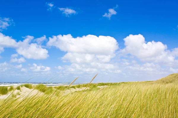 Bela Paisagem Marinha Vista Panorâmica Natureza — Fotografia de Stock