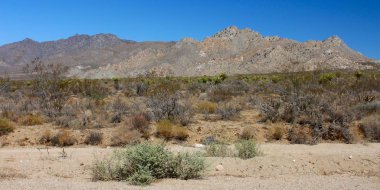 The dry landscape of the Mojave National Preserve in California. clipart
