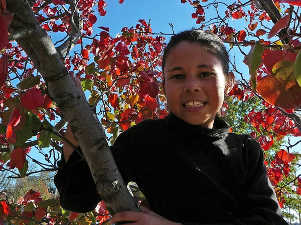 Dziewczyna Drzewie Czerwonymi Liśćmi — Zdjęcie stockowe