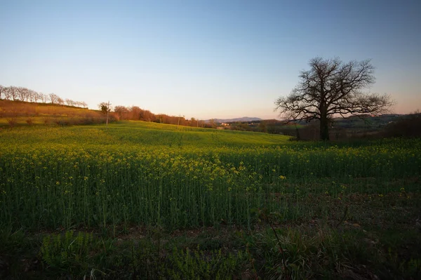 Een Prachtige Zonsondergang Het Land Umbrië — Stockfoto