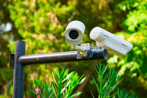 Two Surveillance Cameras City Park — Stock Photo, Image