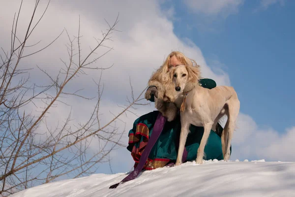 一个金发女孩和雪上的白色萨鲁基 — 图库照片