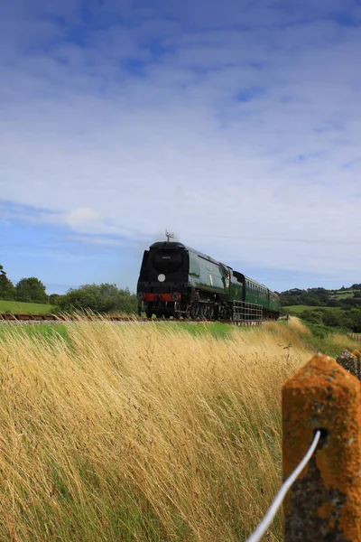 A steam train running on the Swange Railway Line in Dorset, England. Train is rounding a corner through open countryside on its way to its next stop at Swanage.