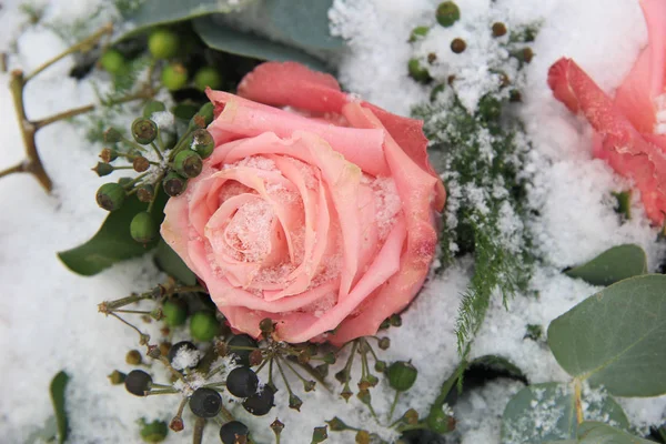 Ένα Ροζ Παγωμένο Τριαντάφυλλο Στο Χιόνι Διακοσμημένο Μούρα — Φωτογραφία Αρχείου