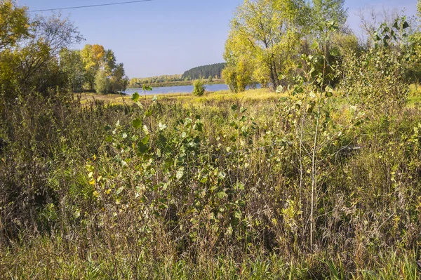 Podzimní Náčrtky Krajiny Přírody Sibiře Poblíž Město Tobolsk — Stock fotografie