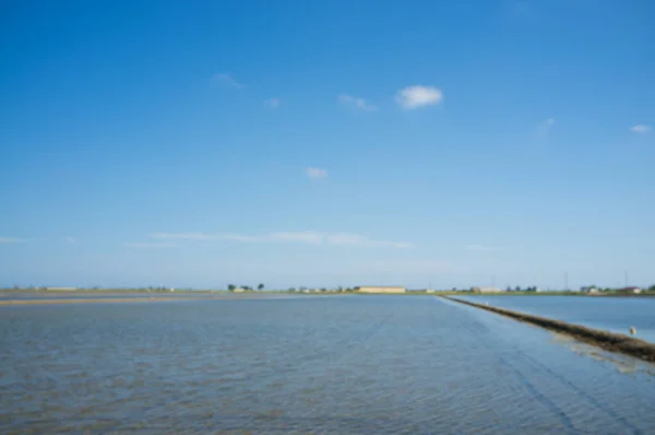 Paisaje Del Delta Del Ebro Con Sus Arrozales Tradicionales — Foto de Stock