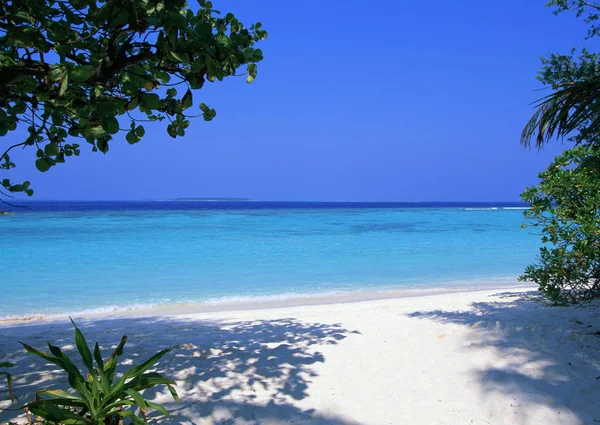 Vista Tropical Con Playa Arena Vacía Mar Azul Tranquilo Durante — Foto de Stock