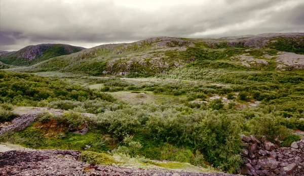 Collines Avec Toundra Dessus Cercle Arctique — Photo