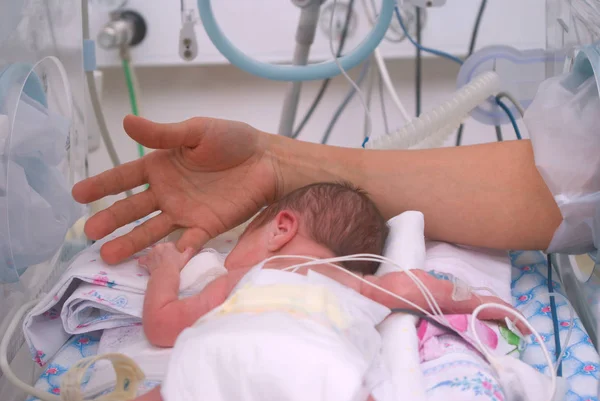 Χέρι Του Γιατρού Και Του Νεογέννητου Εκκολαπτήριο Στο Νοσοκομείο — Φωτογραφία Αρχείου