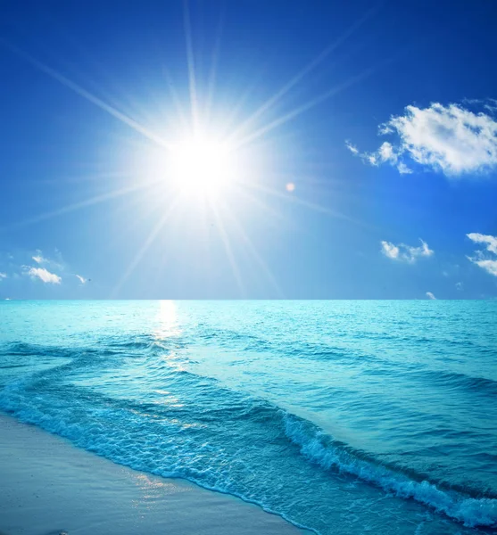Spiaggia Tropicale Soleggiato Cielo Blu — Foto Stock