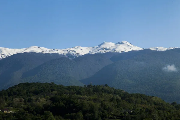 Les Montagnes Sont Couvertes Neige Bois Entourées Nuages — Photo