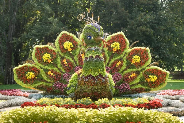 Pássaro Fantástico Feito Flores Ucrânia Kiev Campo Canto — Fotografia de Stock