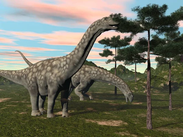 Δεινόσαυρος Argentinosaurus Τρώει Στην Κορυφή Ενός Δέντρου Ηλιοβασίλεμα — Φωτογραφία Αρχείου