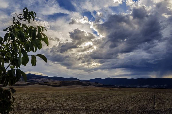 Guardando Campi Della Navarra Spagna Con Cielo Colori Incredibili — Foto Stock