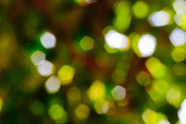 Bokeh Blurred Out Focus Background — Stock Photo, Image