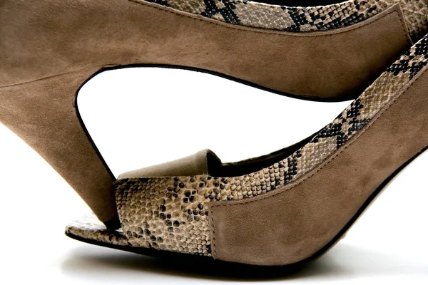Elegantes Zapatos Femeninos Con Tacón Alto Sobre Fondo Blanco — Foto de Stock
