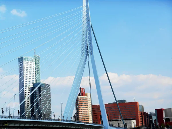 Κοντινό Σημείο Προβολής Της Γέφυρας Erasmus Ρότερνταμ Ολλανδία Εικόνα Που — Φωτογραφία Αρχείου