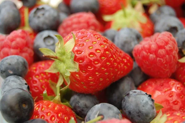 Nahaufnahme Von Mischbeeren — Stockfoto