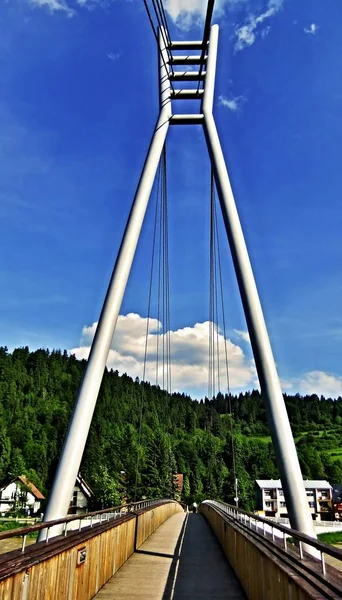 Pont Bois Sur Rivière Dunajec Entre Pologne Slovaquie — Photo
