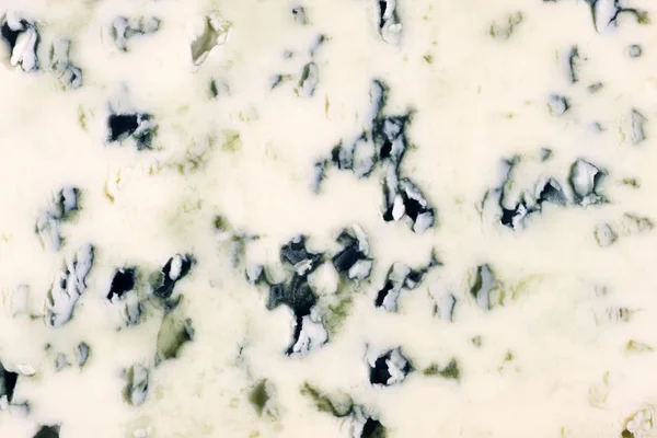 Textura Queso Molde Azul — Foto de Stock