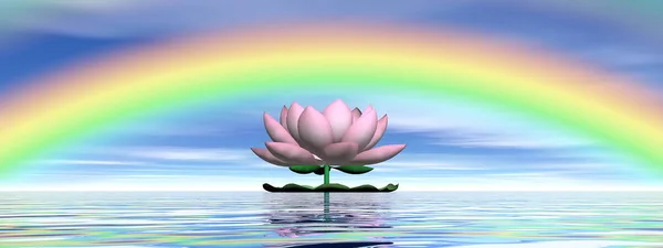 Bellissimo Fiore Loto Rosa Sull Acqua Sotto Arcobaleno Cielo Blu — Foto Stock