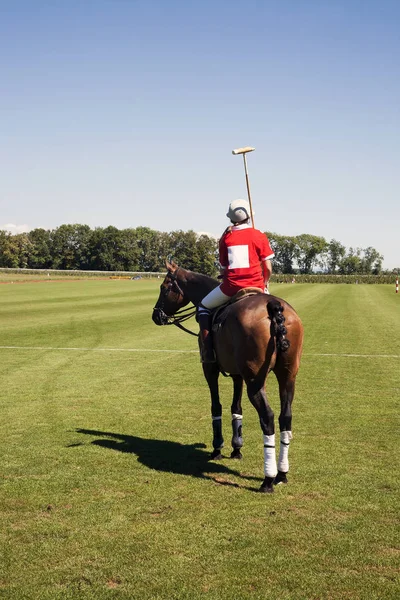 Polospieler Auf Dem Pferd Beim Betrachten Des Spielfeldes Vor Spielbeginn — Stockfoto