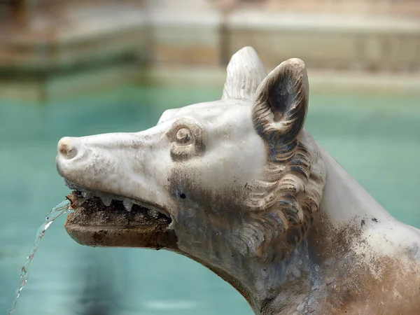 Fonte Gaia Fuente Alegría Piazza Del Campo Siena — Foto de Stock