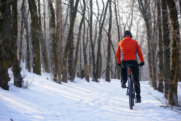 Güzel Kış Ormanı Nda Karlı Trail Mountain Biker Binicilik Bisikleti — Stok fotoğraf