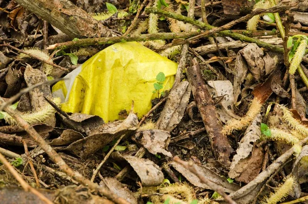 黄色塑料瓶或封面之间的叶子 — 图库照片