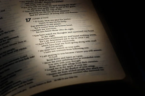 Ψαλμός Στη Βίβλο Ένας Ψαλμός Του Δαβίδ — Φωτογραφία Αρχείου