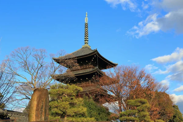 Templo Daigoji Pagoda Cinco Pisos Primavera Kyoto Japón — Foto de Stock